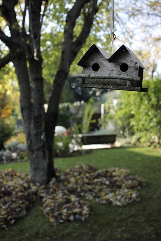 Casa L\u00F2 Bed and Breakfast Cesena Exterior foto